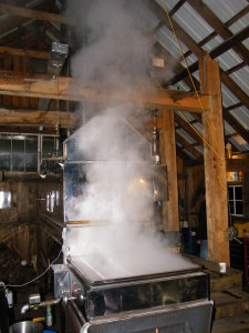 sugaring 2012 021