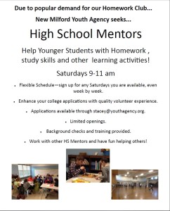Mentor Flyer