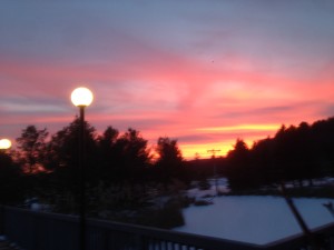 photo (6)