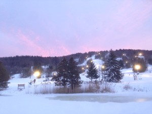 photo (7)