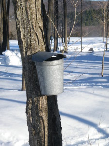 Syrup Pictures- 2-25-14 009
